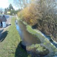 Gefährliches Wasser In der Kröpeliner Schulstraße, Höhe des Sportplatzes kommt es immer wieder zu Überflutungen des Grabens, siehe Fotos. Die Bilder zeigen noch einen harmlosen Stand, zum...