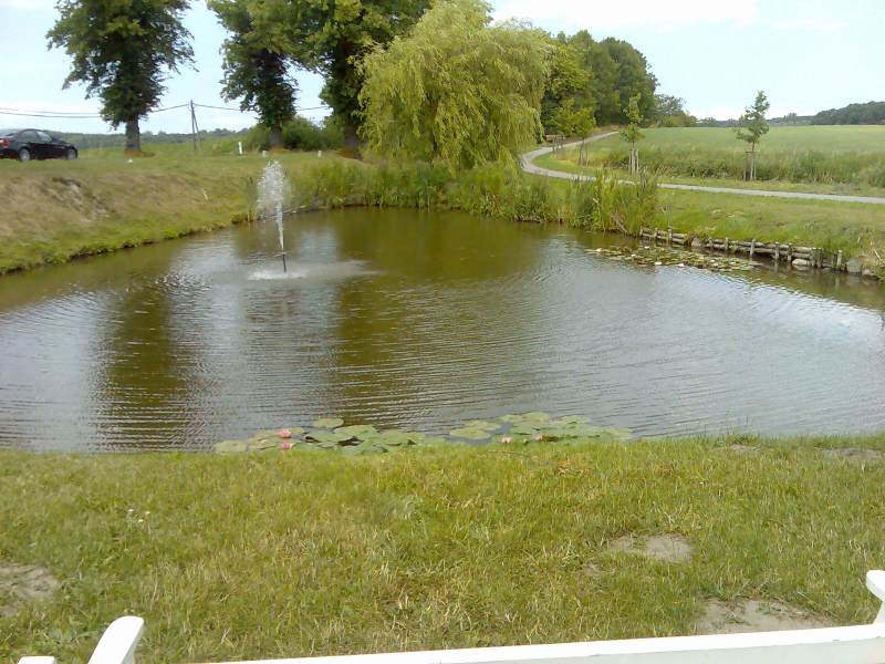 Teich Altenhagen