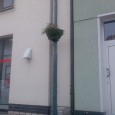 Kröpelin wird schön, oder doch nicht? Vor ein paar Tagen habe ich schon den schönen neuen Blumenschmuck am Markt gesehen und mich darüber gefreut. Aber...