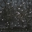 Erster Schnee Heute war es nun soweit der erste Schnee für diese Wintersaison ist gefallen und zauberte Kröpelin kurzzeitig weis. Es ist erfreulich zu berichten, das das...