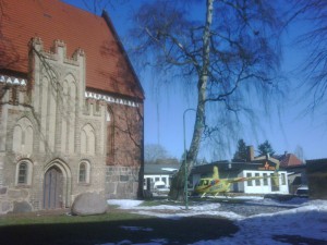 IMG-1